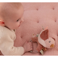 Little Dutchb Ringrammelaar Vogel