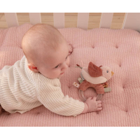 Little Dutchb Ringrammelaar Vogel