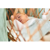 Jollein hoeslaken  60x120cm ash green