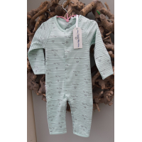 Happy Dogs Little Frogs boxpakje  mint