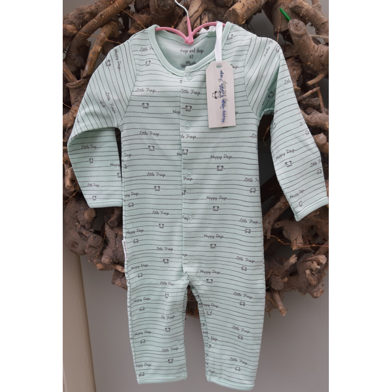 Happy Dogs Little Frogs boxpakje  mint
