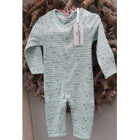 Happy Dogs Little Frogs boxpakje  mint