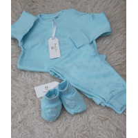 Happy Dogs Little Frogs boxpakje  mint