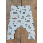 Baggy broekje dino's