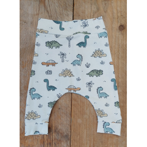 Baggy broekje dino's