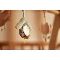 Jollein Babygym Speeltjes - On The Go